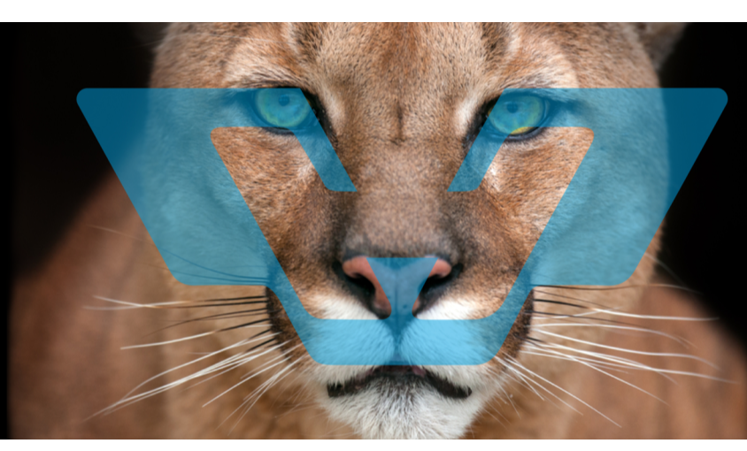 6731������Ϸ(�й���)-�ٷ���վ