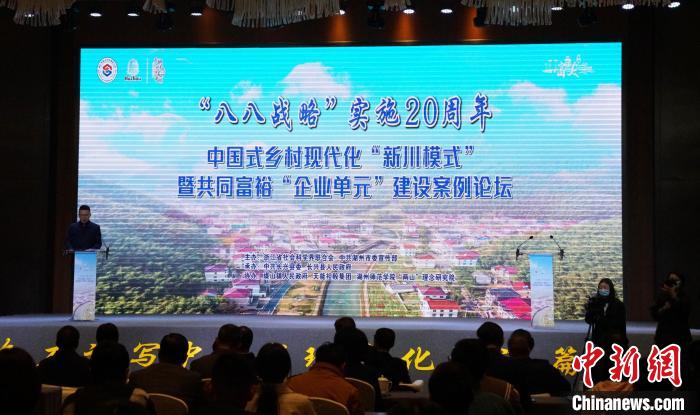 �㽭���˾��С��´�ģʽ����̳�۽����󹲽���������